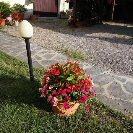 Maria Guest house Montecarlo